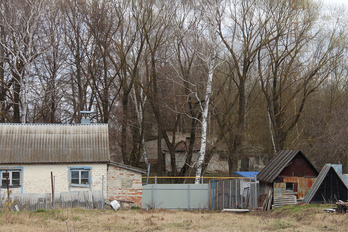 Провинциальные зарисовки - Елена Минина