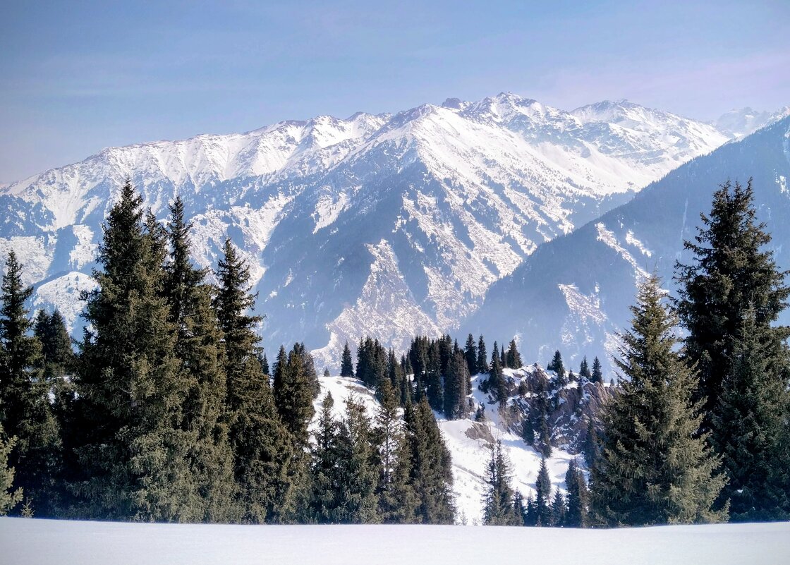 Горная красота - Георгиевич 