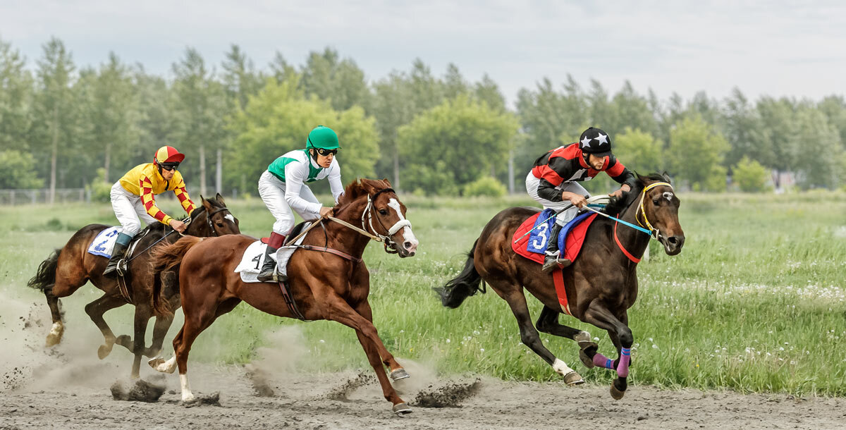 Скачки - SanSan 