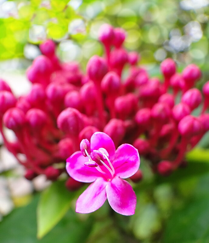 Первый. - Марина Леонидовна Первый. - Марина Леонидовна