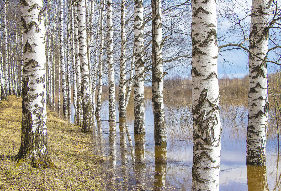 Половодье - Галина Новинская