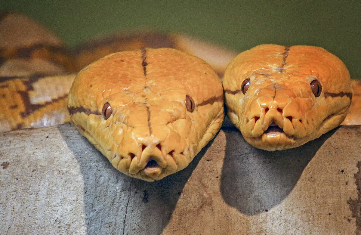Мы с марусей на печи - Андроник Александр Мы с марусей на печи - Андроник Александр