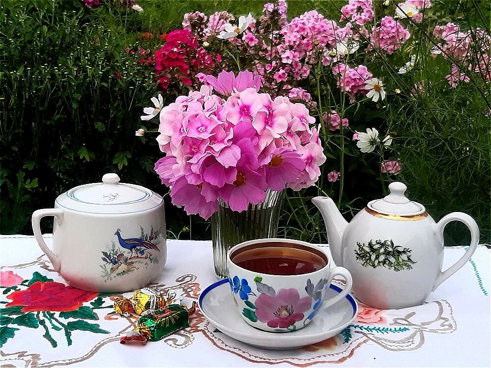 Нежное утро! - Нина Андронова Нежное утро! - Нина Андронова