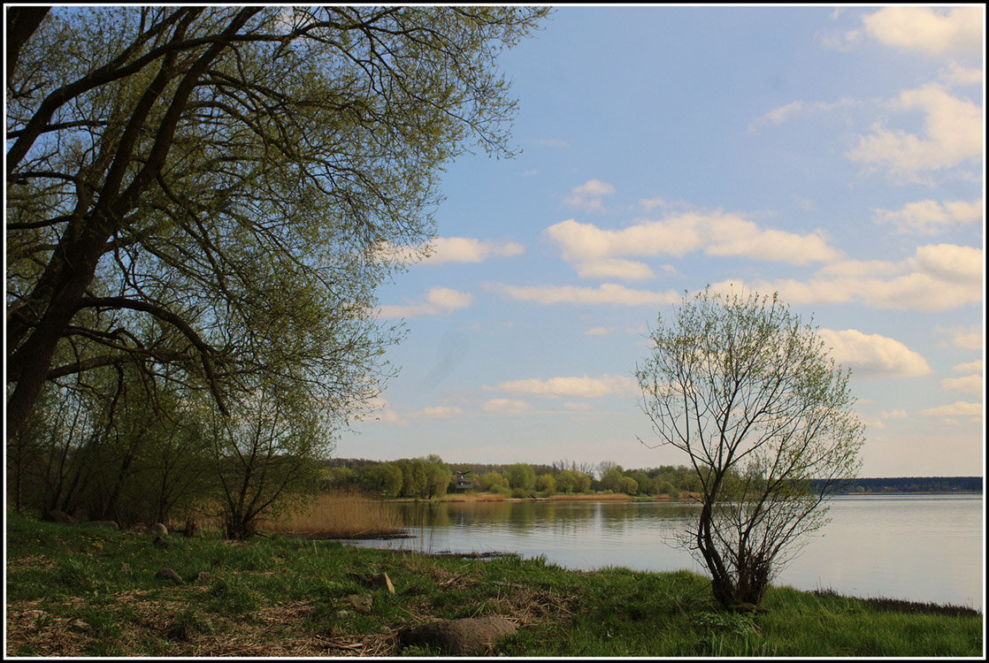 *** - Aleksandr Gal *** - Aleksandr Gal