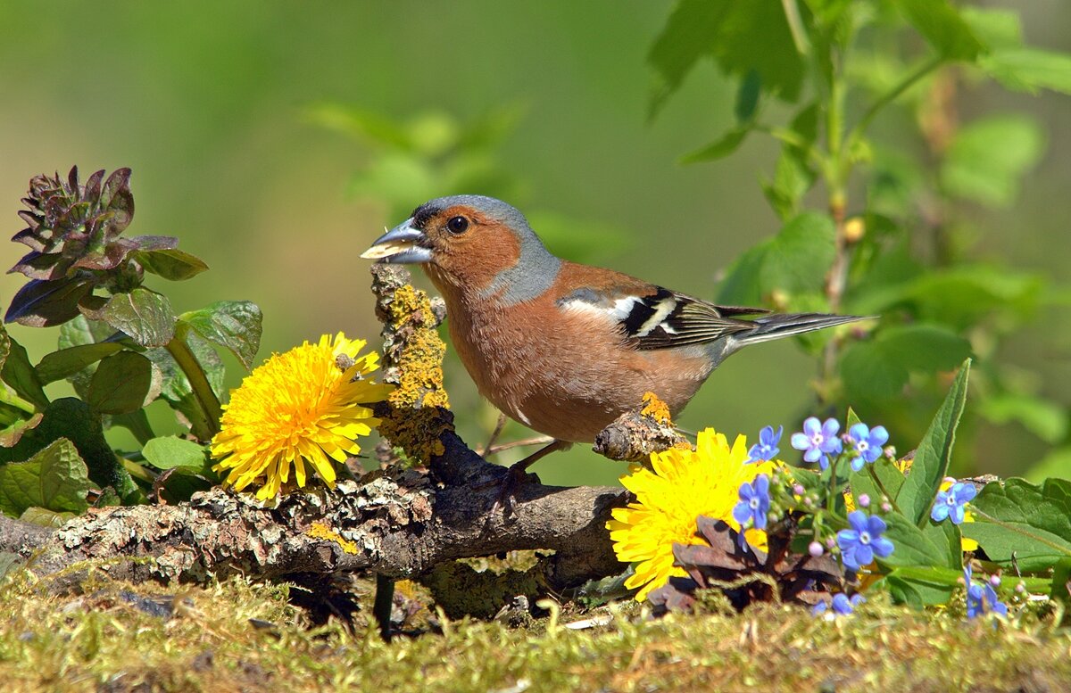 ... - Вячеслав Минаев