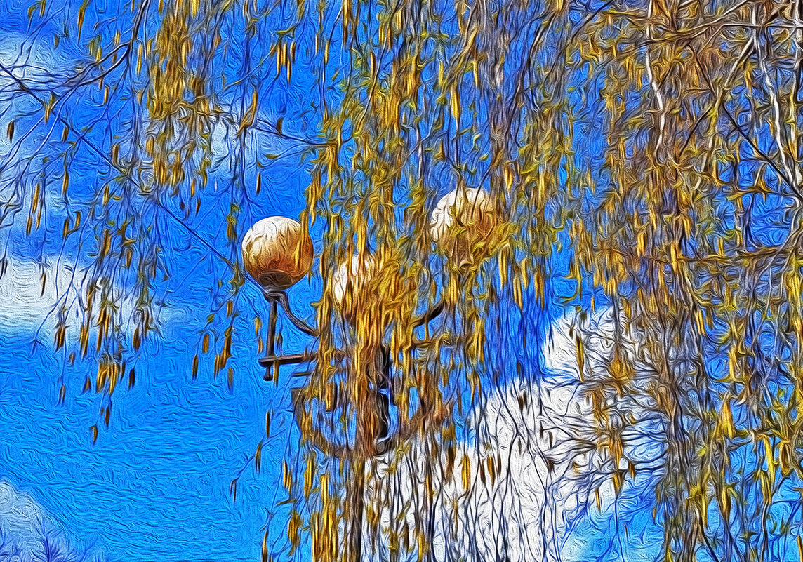 Берёзка и фонари... - Валентина  Нефёдова 