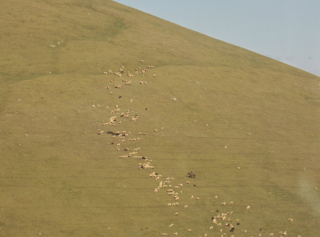 Тропа - Vitrevi 