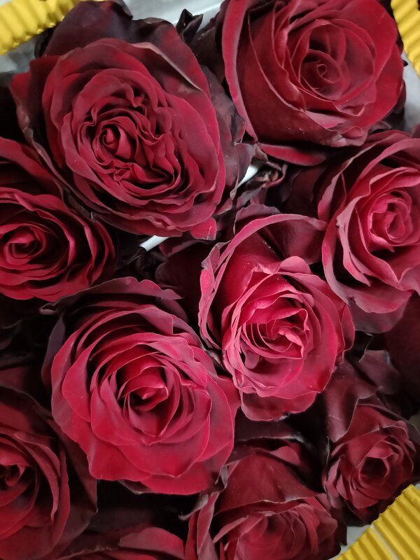 Самые красивые - Надежда 