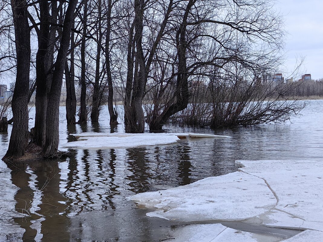 Обь в середине апреля - Галина Козлова 
