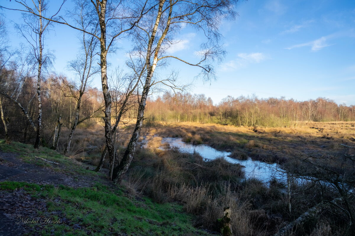 На краю... - Николай Гирш