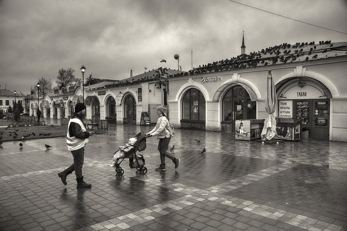 Боровск - Владимир Гришин