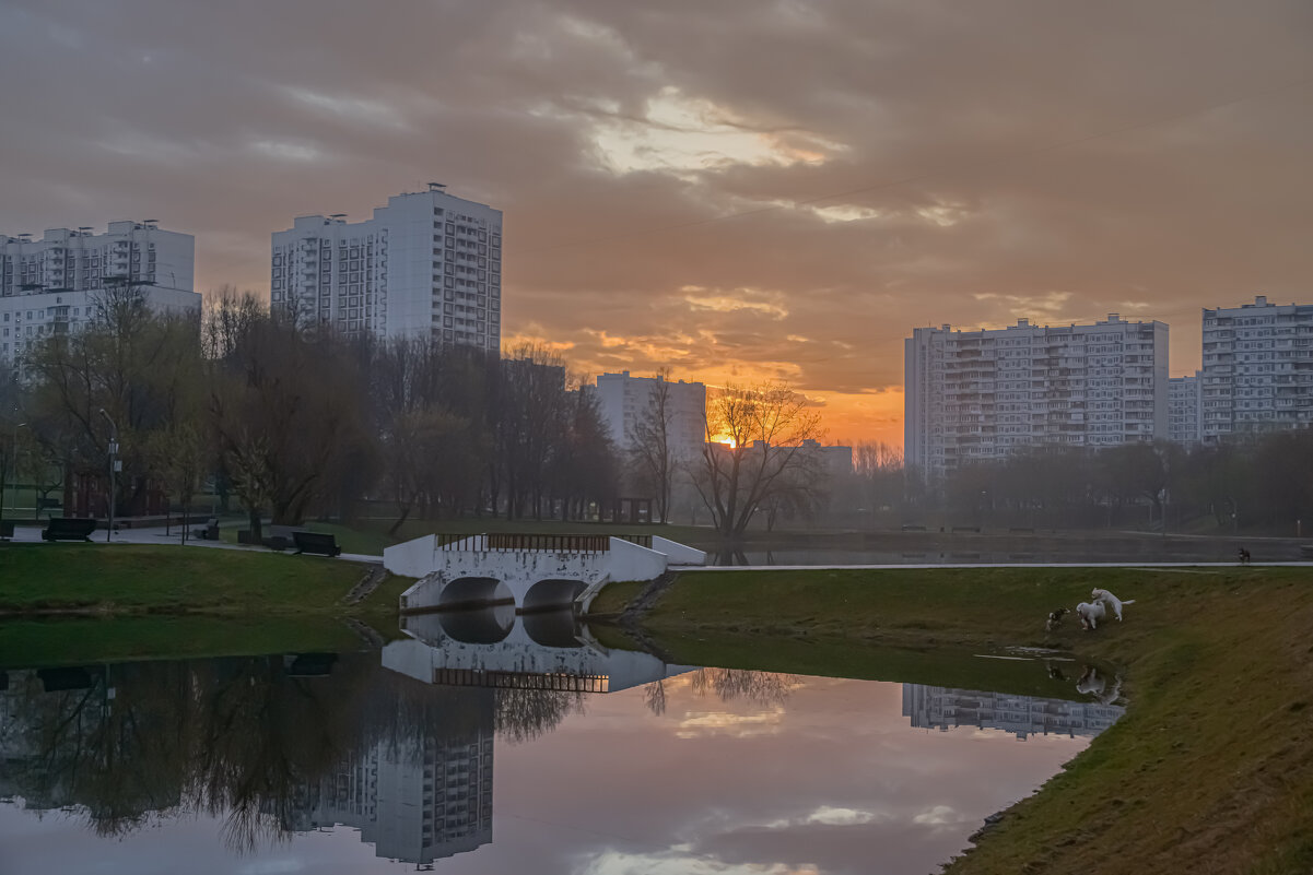 Собачье время. - Николай Собачье время. - Николай