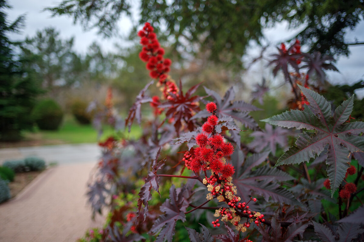 Осень - Иваннович .
