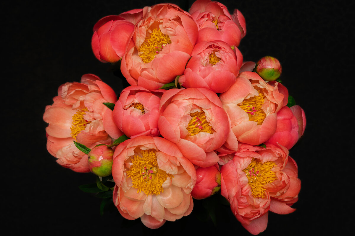 День рождения. - Борис Калитенко