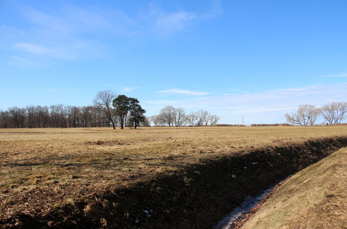 Парк Александрия - Наталья Герасимова