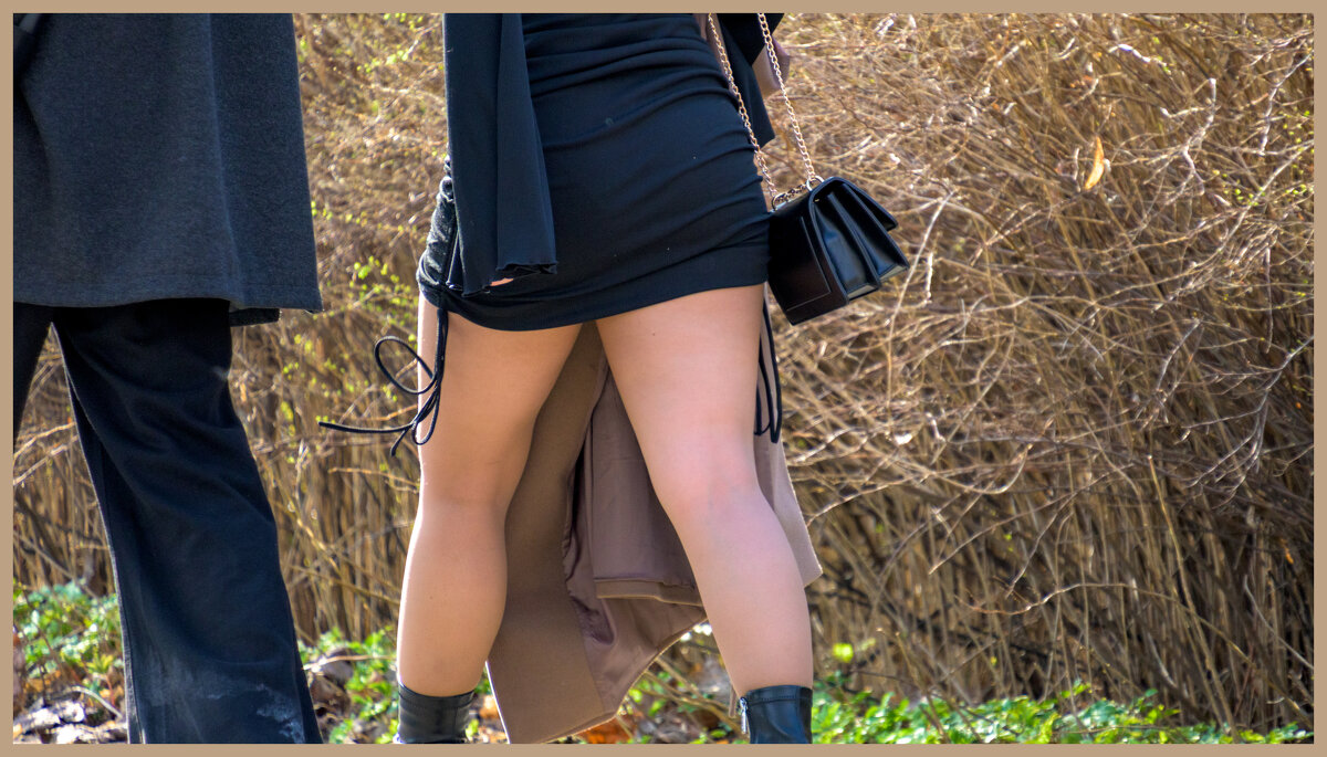 Ножки - Илья Шенгелия