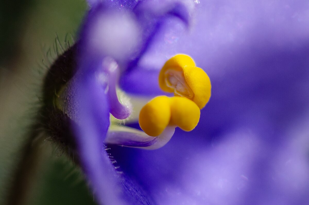 *** - Виктор Иванович Чернюк