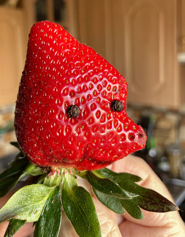 Клубничка - Виктор Орехов