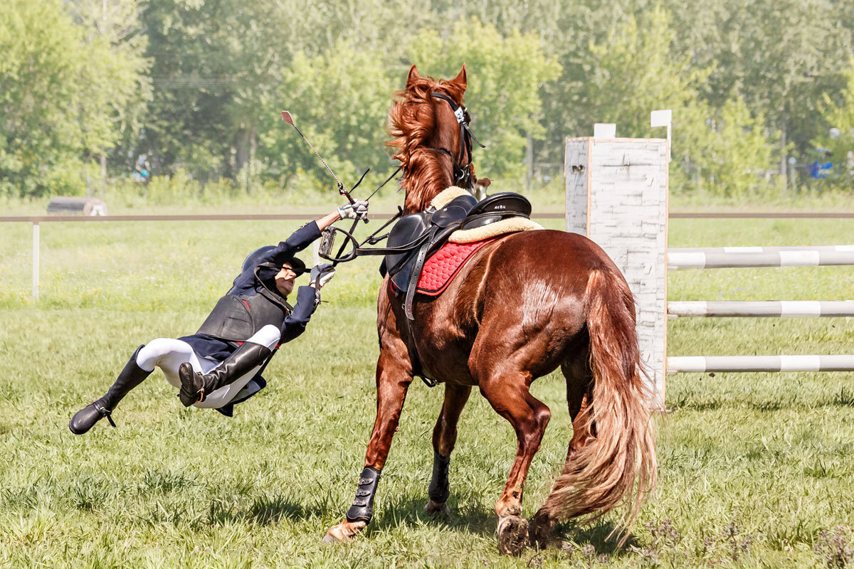 Конкур - SanSan 