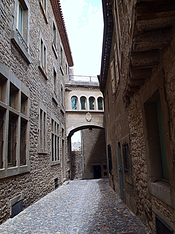 Франция. Крепость Каркассон. - Владимир Драгунский