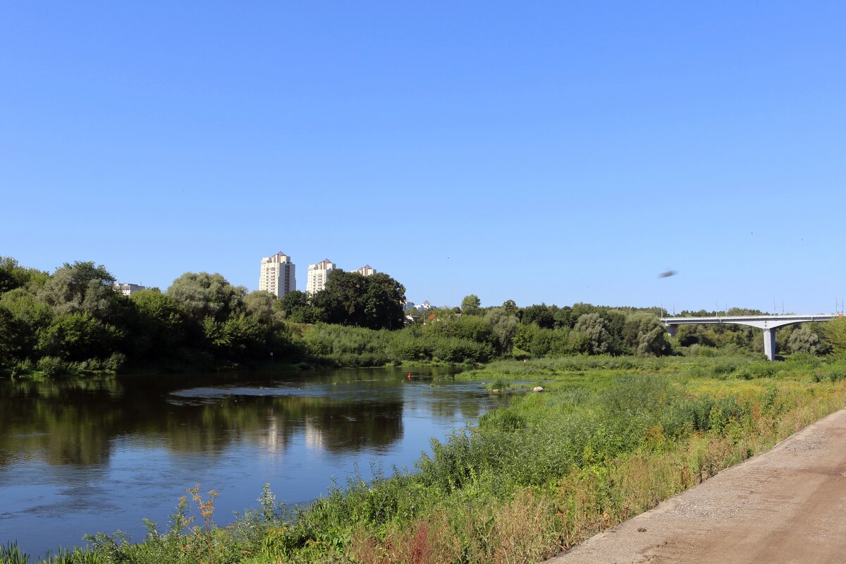 У Немана - Ольга 