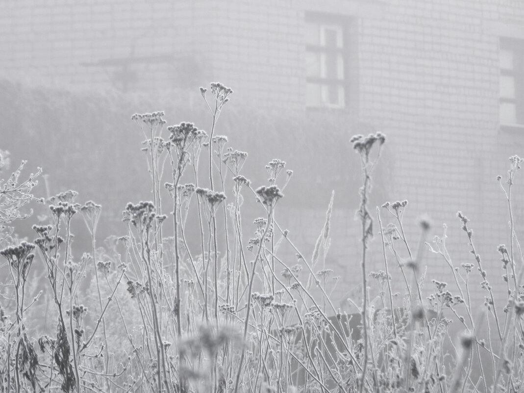 мартовский иней - Лера 