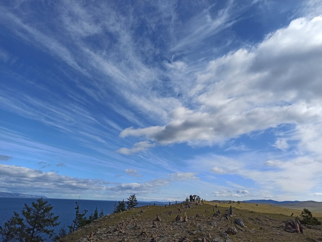 Из облачного - svk *