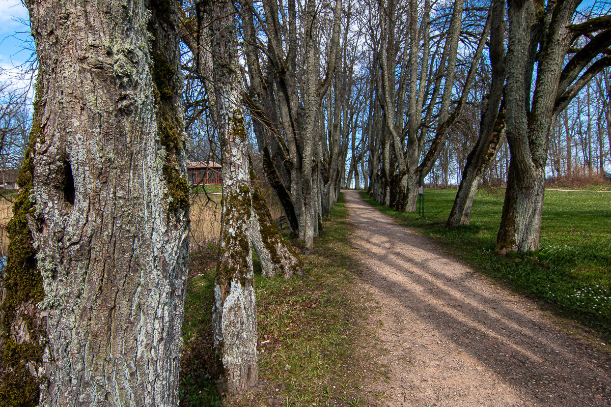 *** - Геннадий Порохов