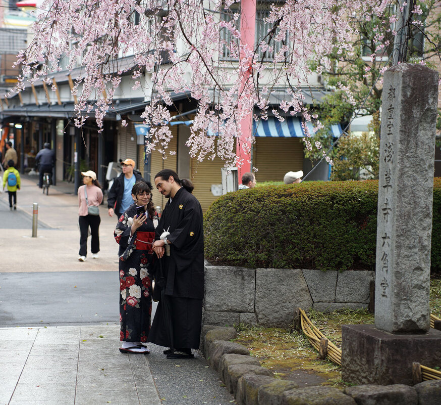 Токио, street photo и немного сакуры. - Liliya 