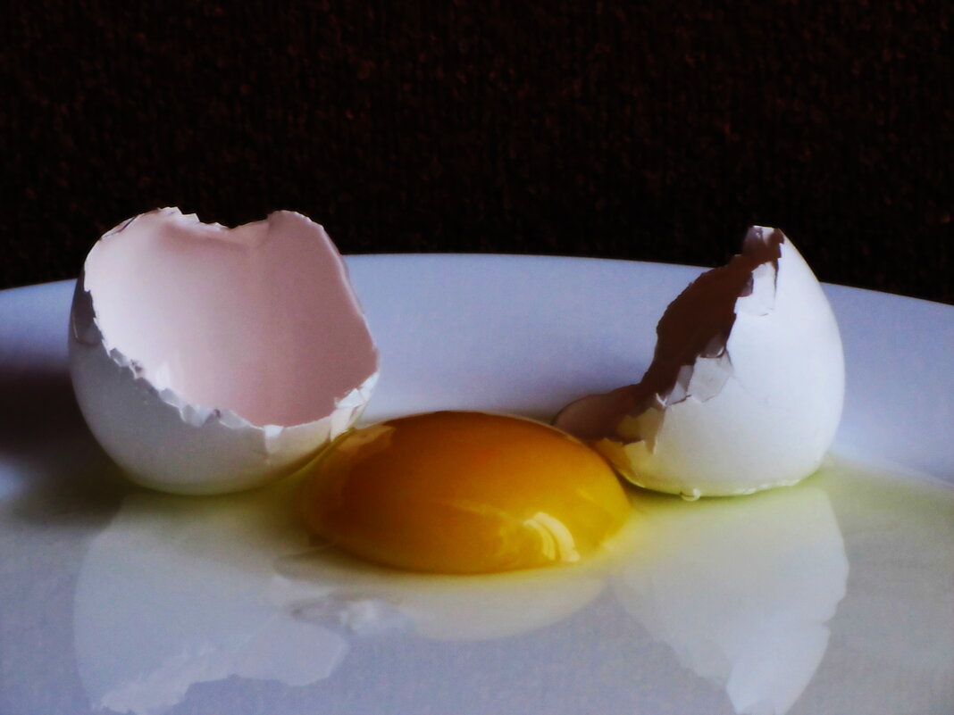 Разбитое яйцо... - Татьяна Гнездилова