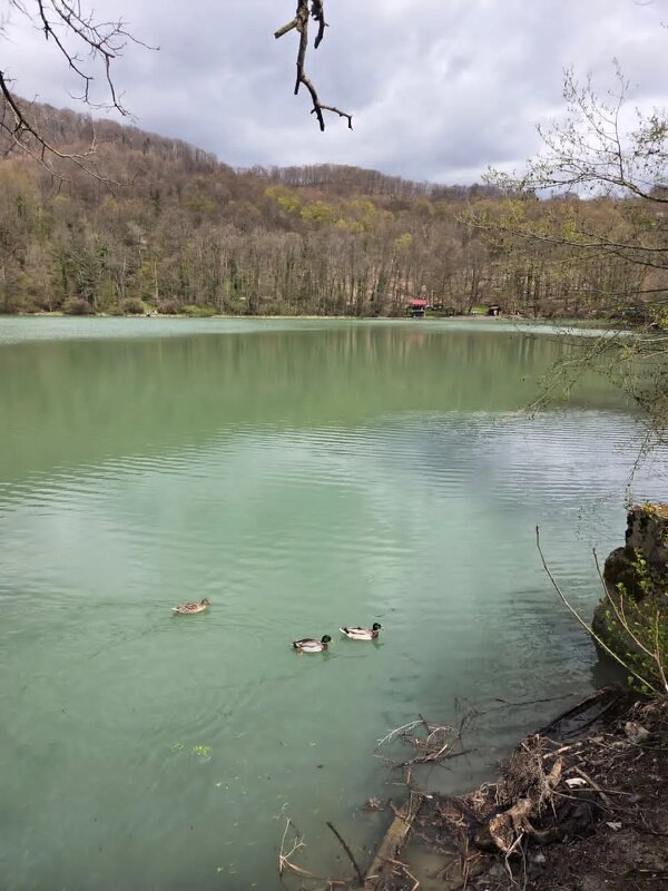 Калиновое озеро - Tata Wolf