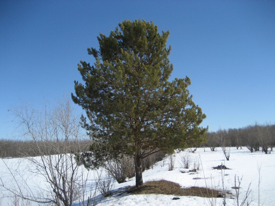 На острове - Anna Ivanova