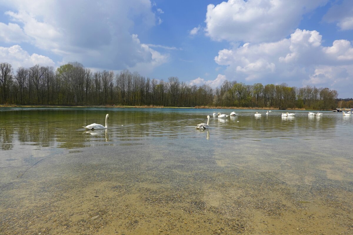Улыбчивый апрель, держись, Лети легко под облаками... - Галина 