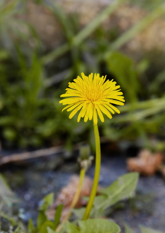 Родная земля никогда не предаст... - Валерий Басыров