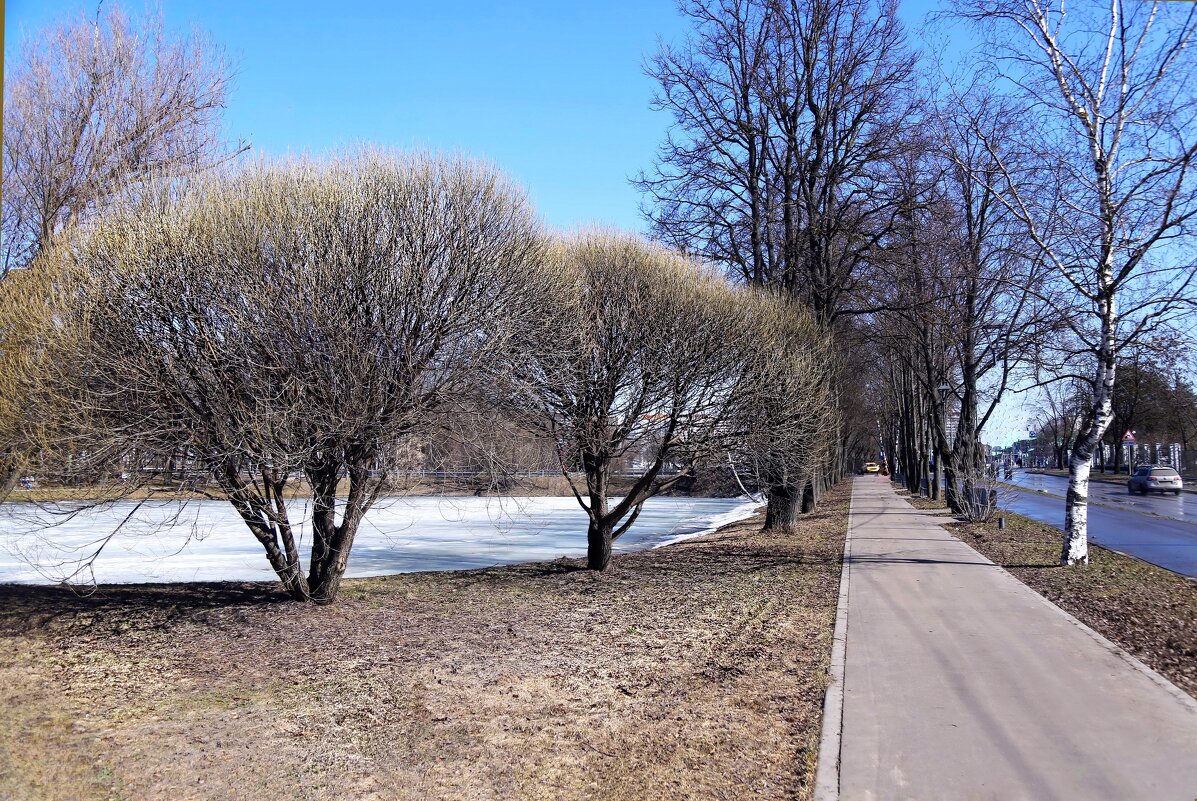 Когда был снег... - ZNatasha -