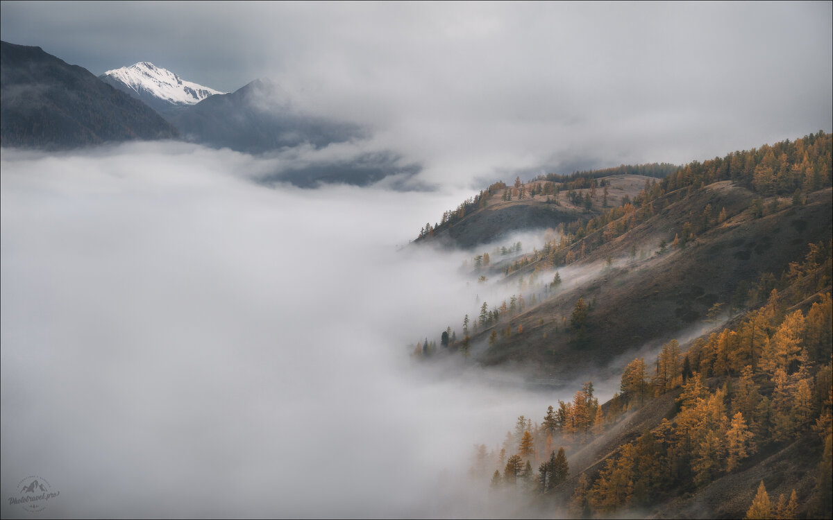 Параллельные миры - Влад Соколовский