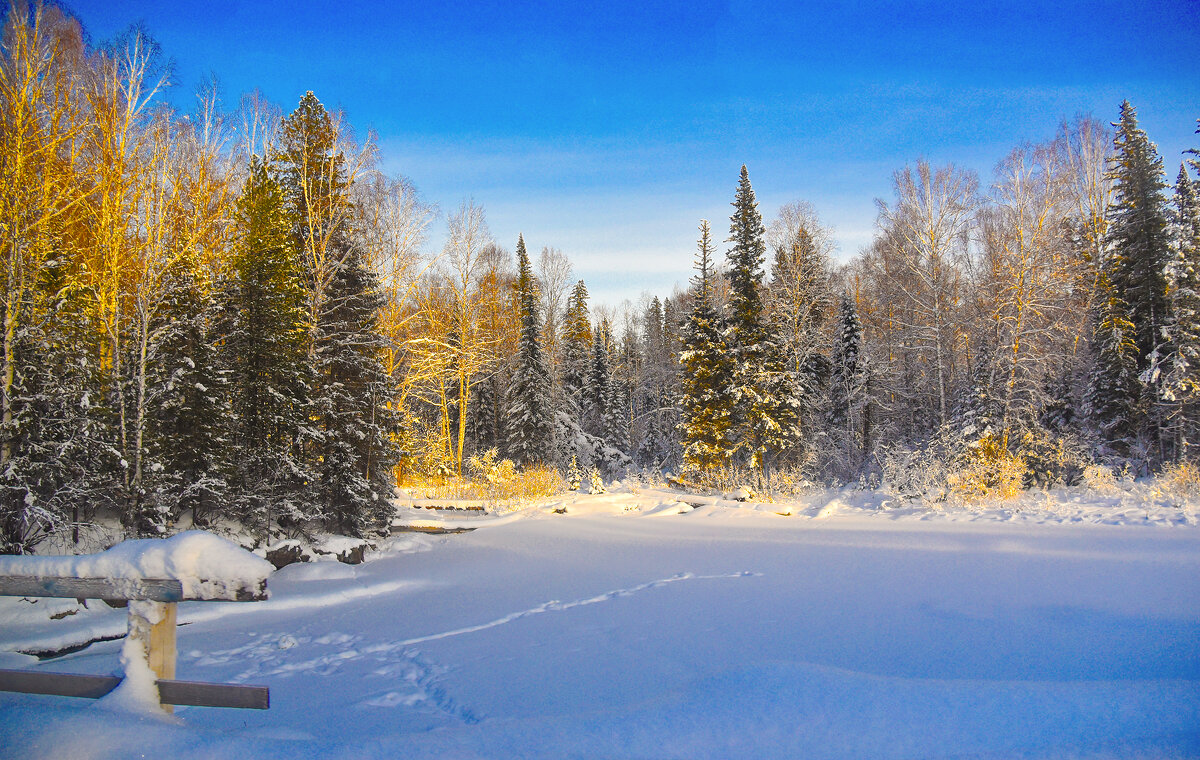 Прошедшая Зима. - юрий Амосов