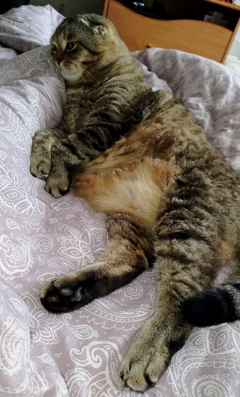 Мне этот мир абсолютно понятен - светлана льдокова