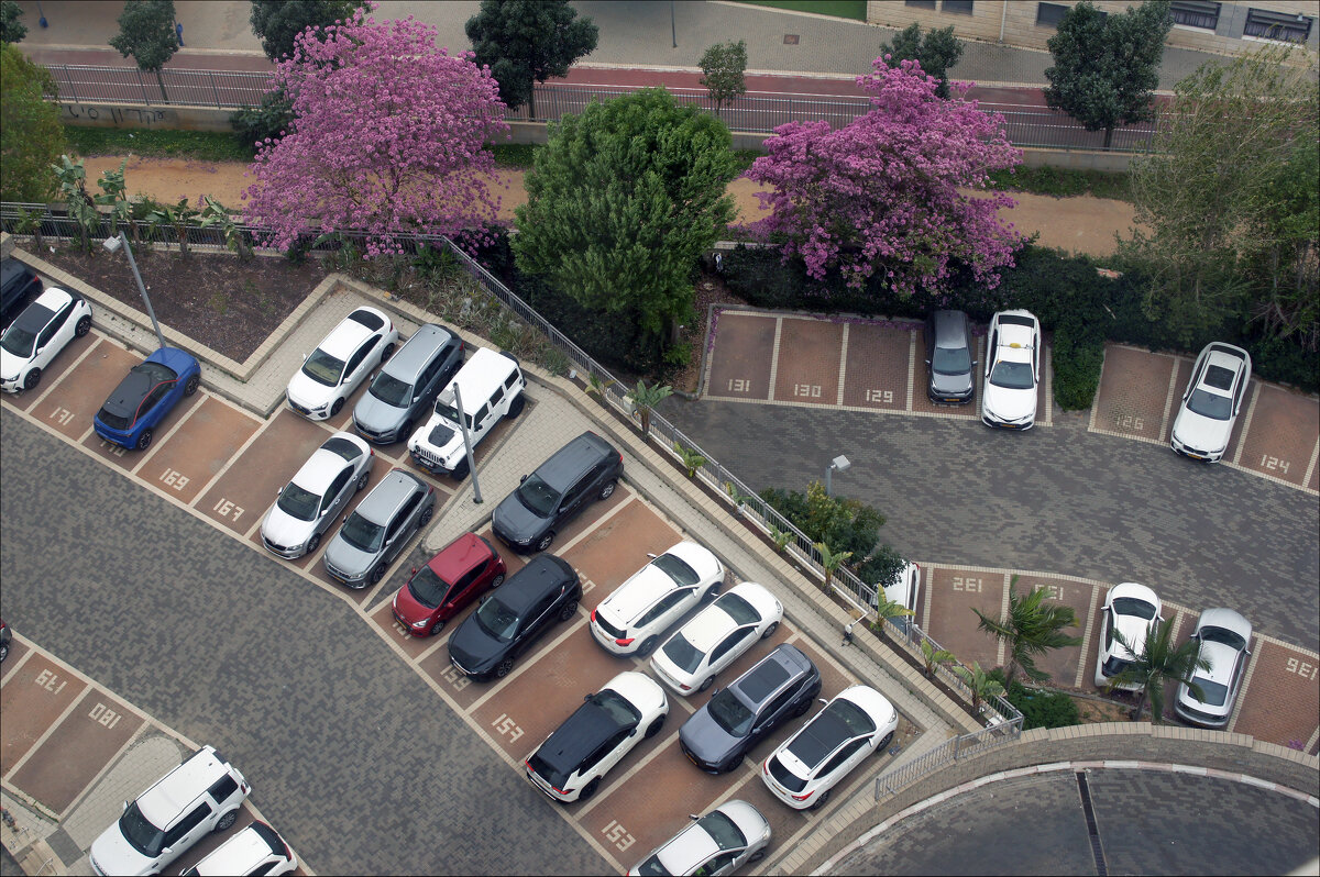 Весенняя автостоянка - Валерий Готлиб