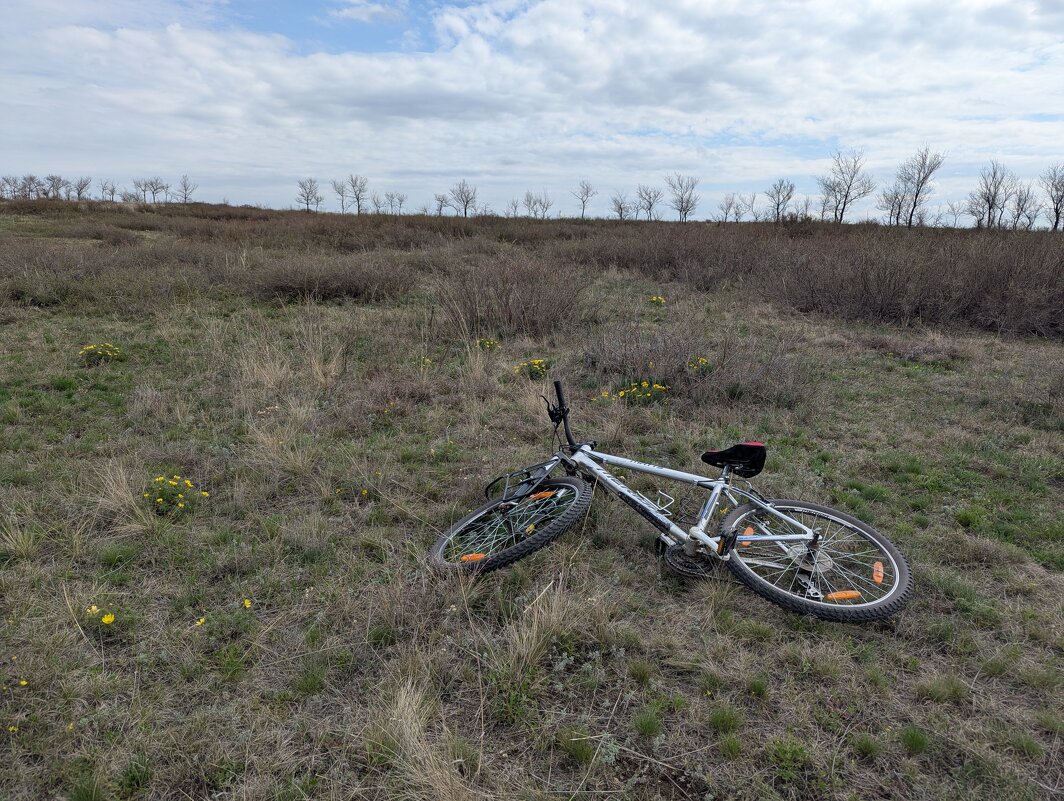 Степные красоты - Андрей Хлопонин