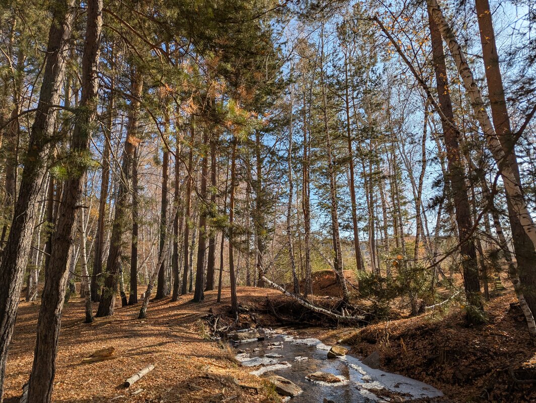 Осень - Андрей Хлопонин