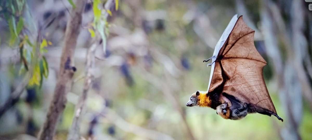 Домой из роддома !  - Валерий Кокорев