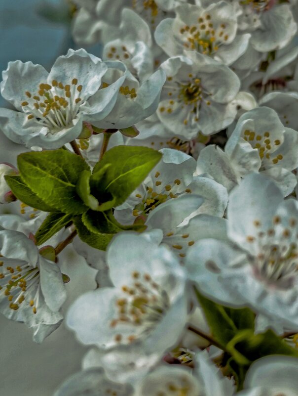 Весна пришла--весне дорогу.. - Георгий Никонов