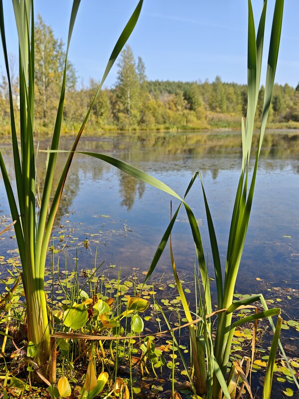 Озеро - Александр 
