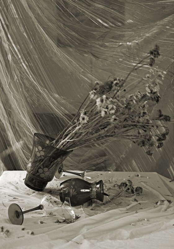 Весенний ветер - Виктор 