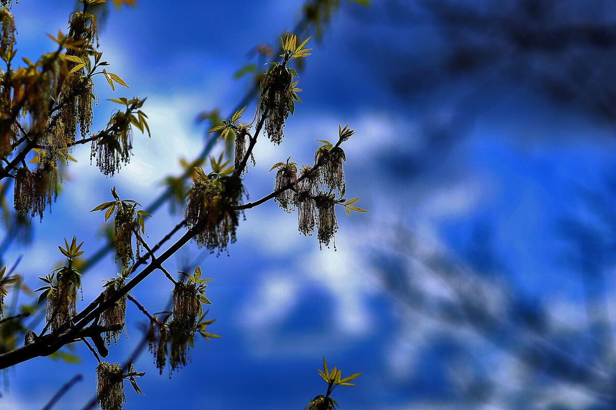 Небо - Юрий Гайворонскiий