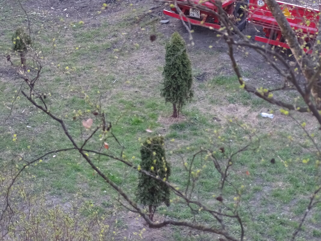 Еще маленькие - Anna-Sabina Anna-Sabina