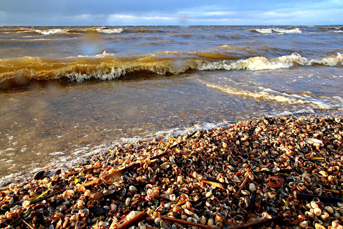 Весеннее настроение - В.И 