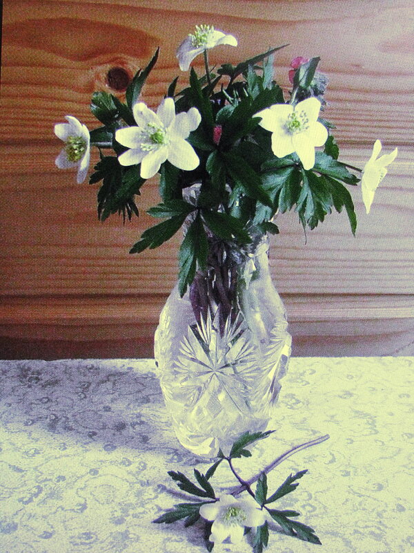 Нежный букетик - Людмила Смородинская