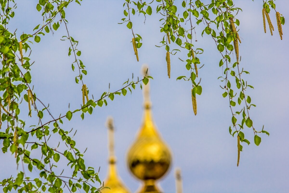 Весенние зарисовки ... - Ravile 